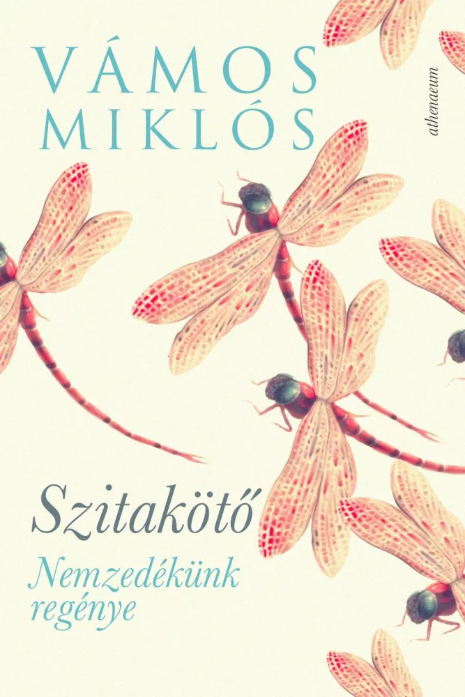Szitakötő borító