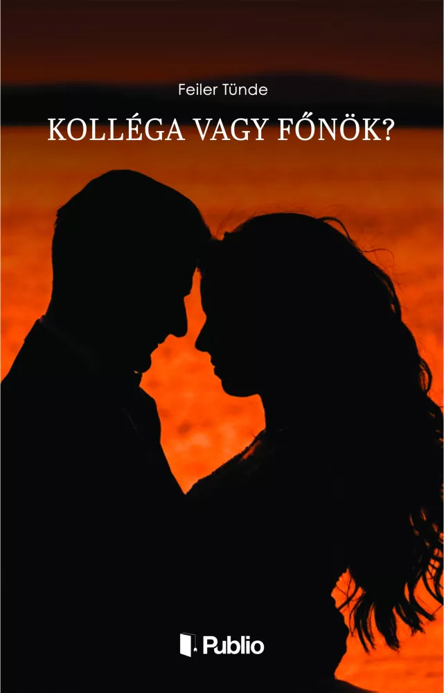 Kolléga vagy főnök? borító