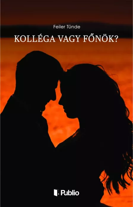 Kolléga vagy főnök? borító