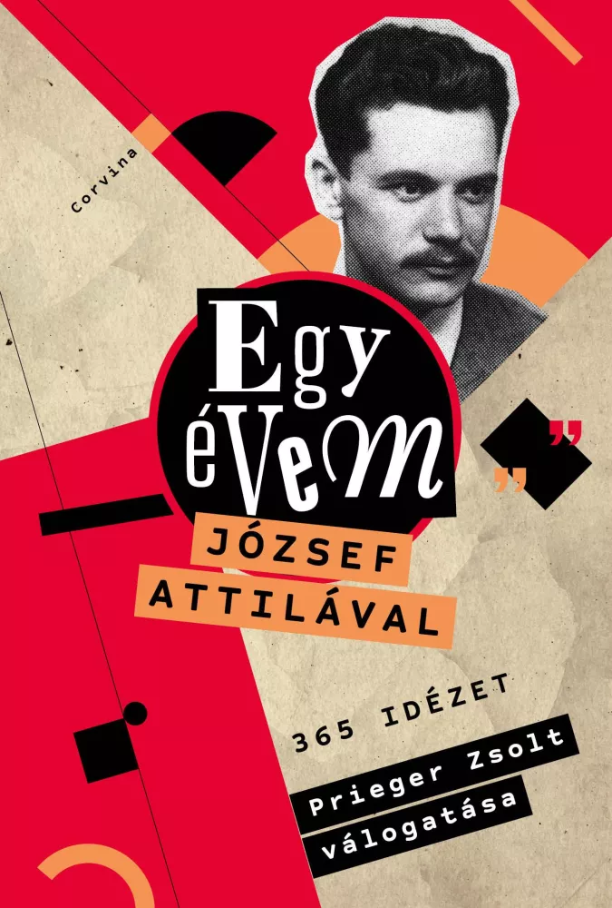 Egy évem József Attilával borító
