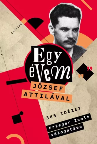 Egy évem József Attilával borító