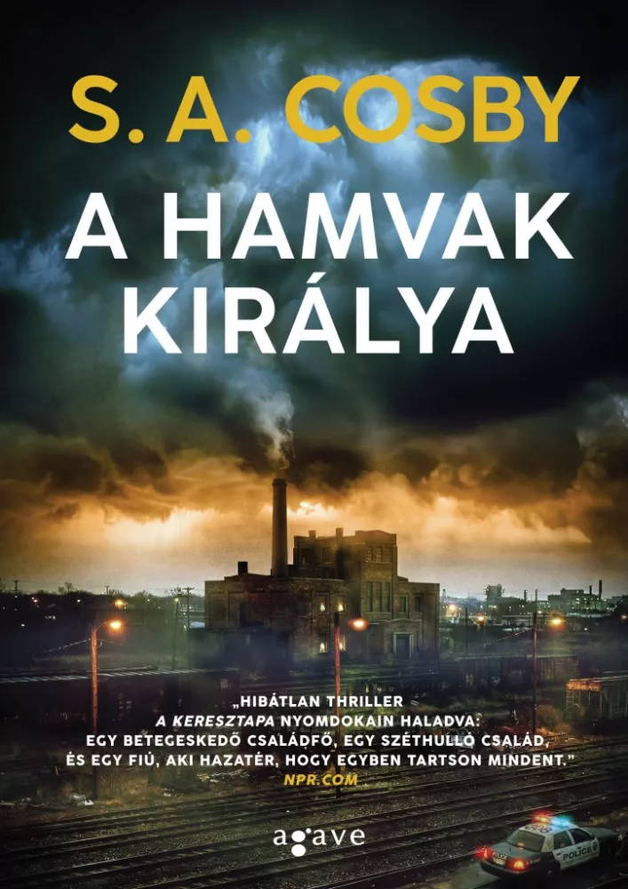 A hamvak királya borító