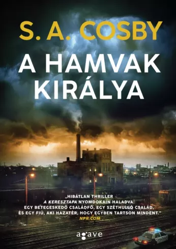 A hamvak királya borító