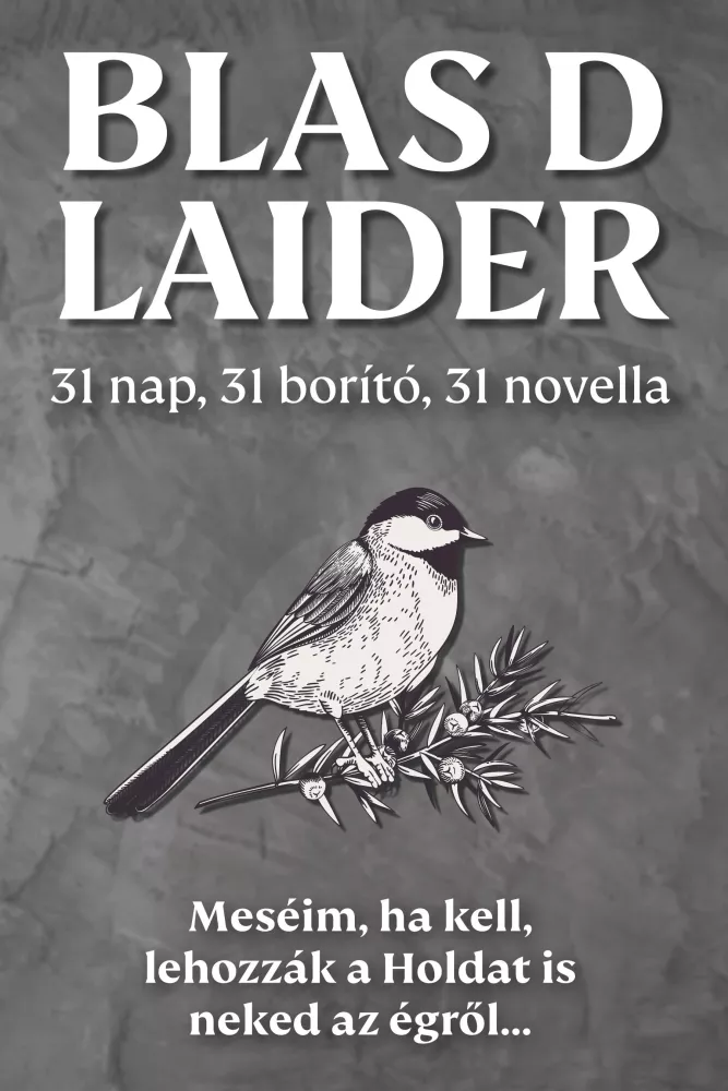31 nap, 31 borító, 31 novella borító
