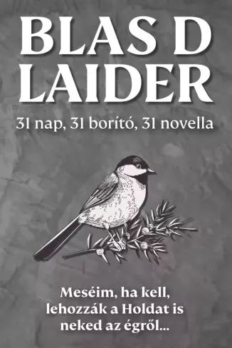 31 nap, 31 borító, 31 novella borító