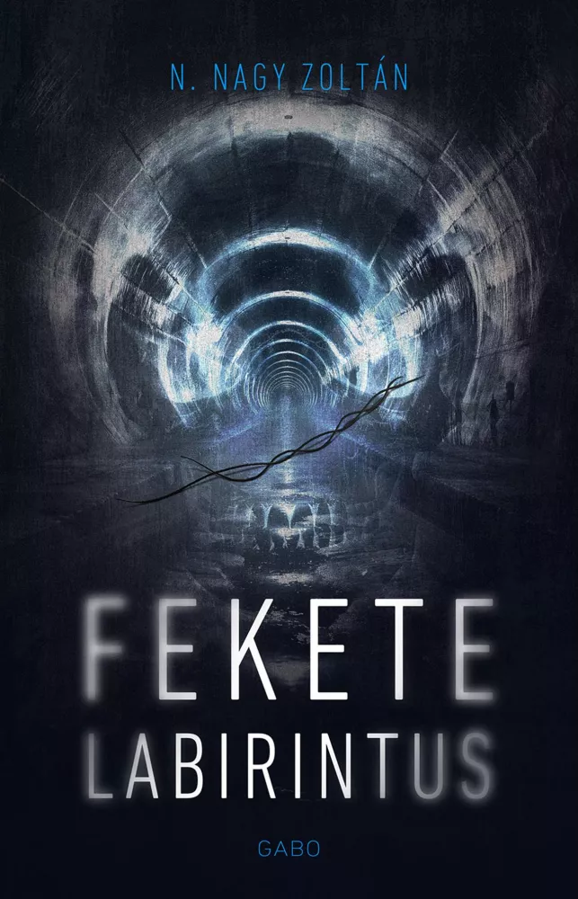 Fekete labirintus borító