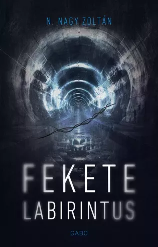 Fekete labirintus borító