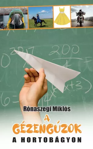 A gézengúzok a Hortobágyon borító