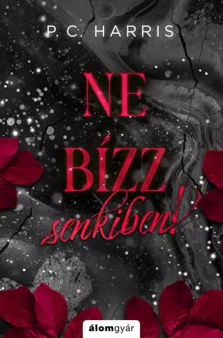 Ne bízz senkiben! borító