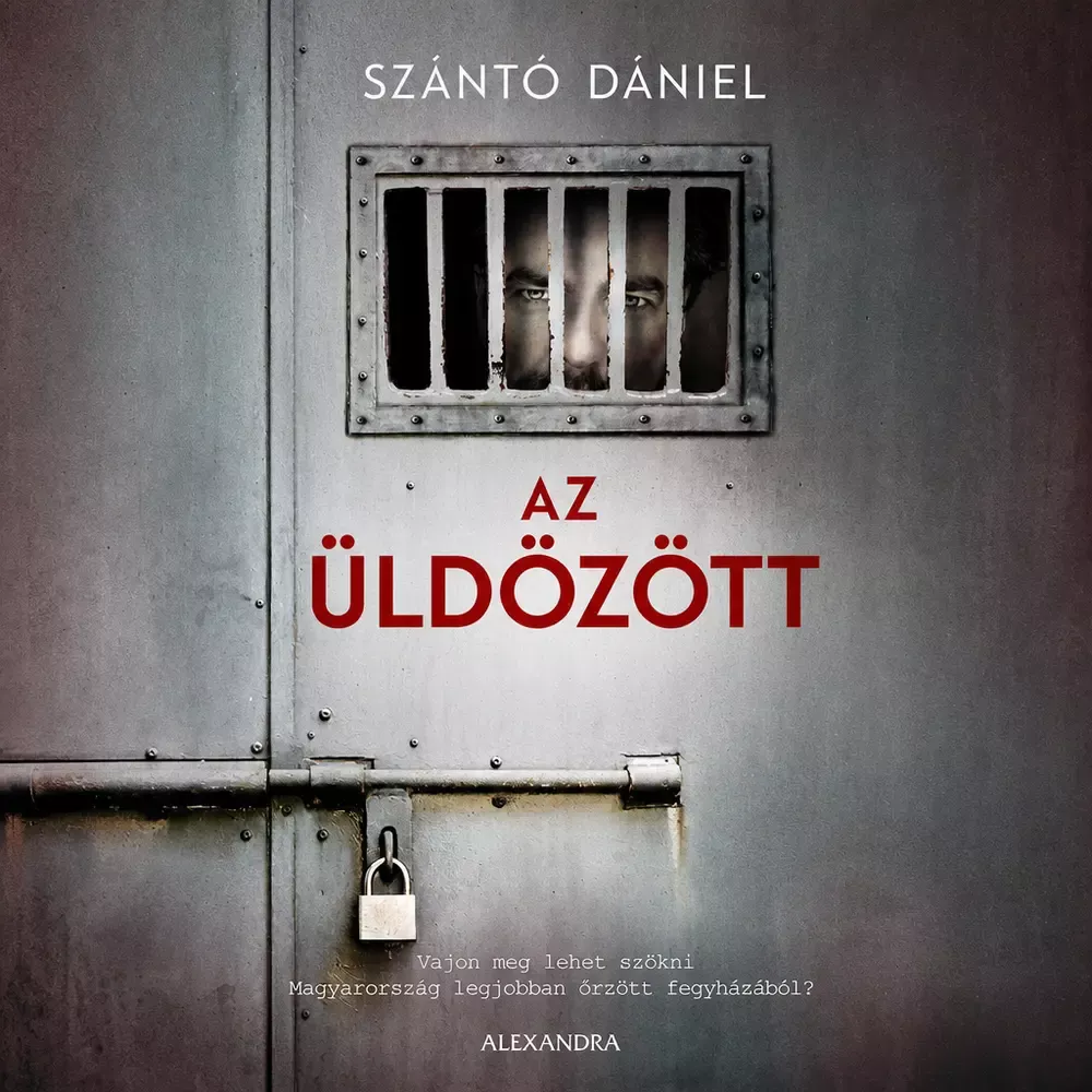 Az üldözött borító