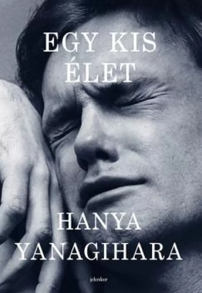 Egy kis élet borító