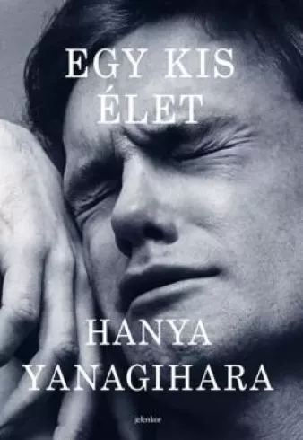 Egy kis élet borító