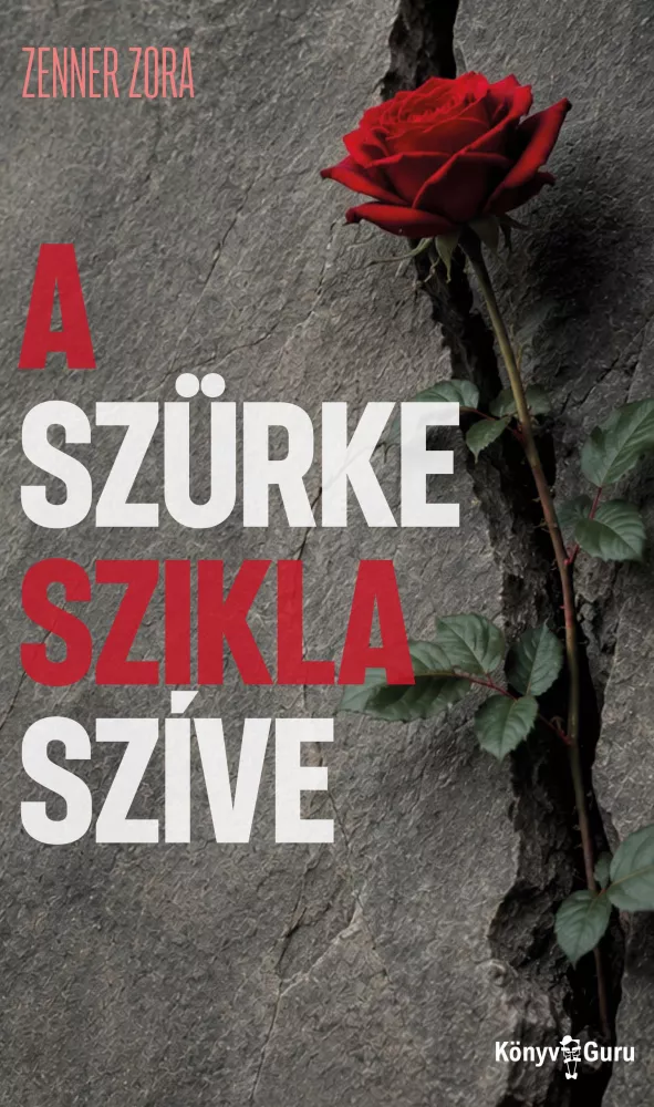 A szürke szikla szíve borító