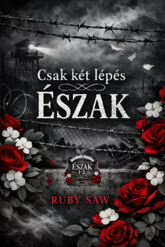 Csak két lépés Észak borító