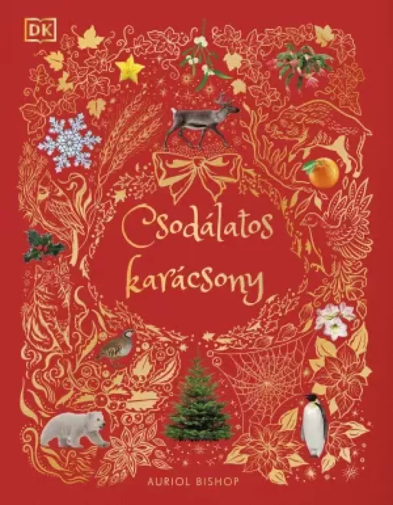 Csodálatos karácsony borító