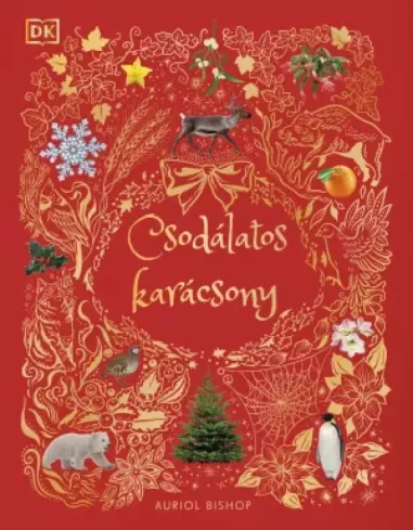 Csodálatos karácsony borító