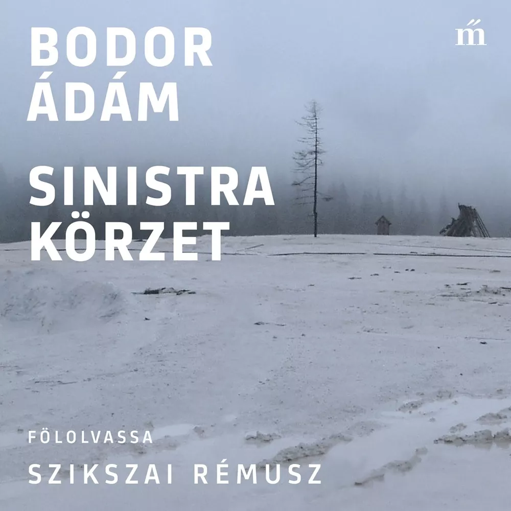 Sinistra körzet borító