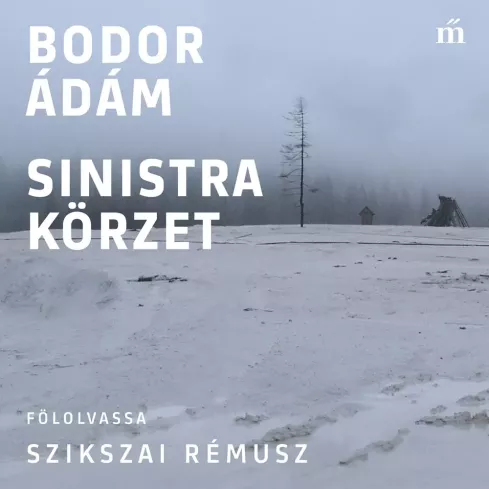 Sinistra körzet borító
