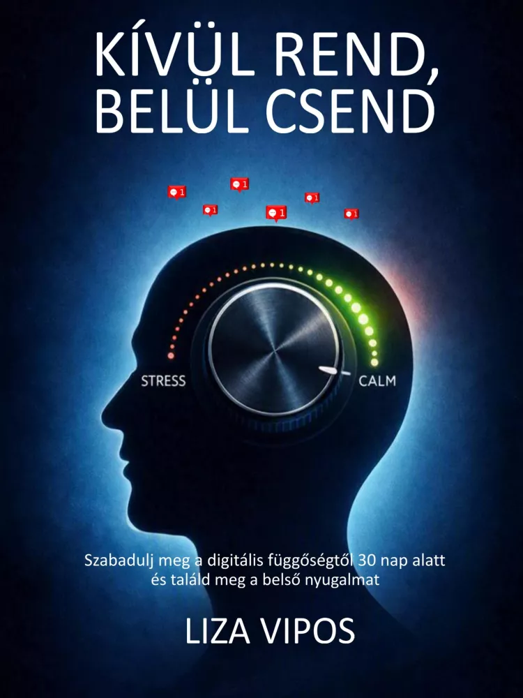 Kívül rend, belül csend borító
