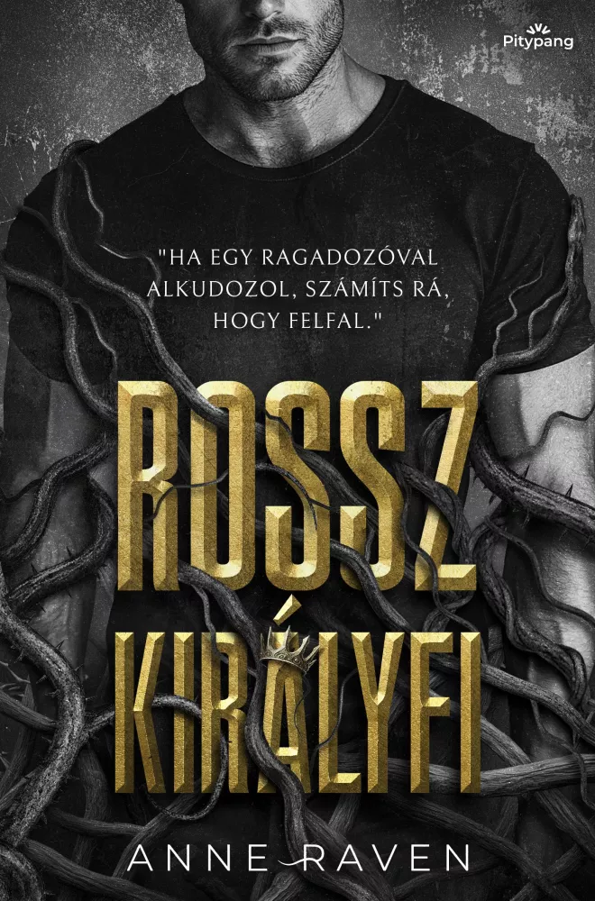 Rossz királyfi borító