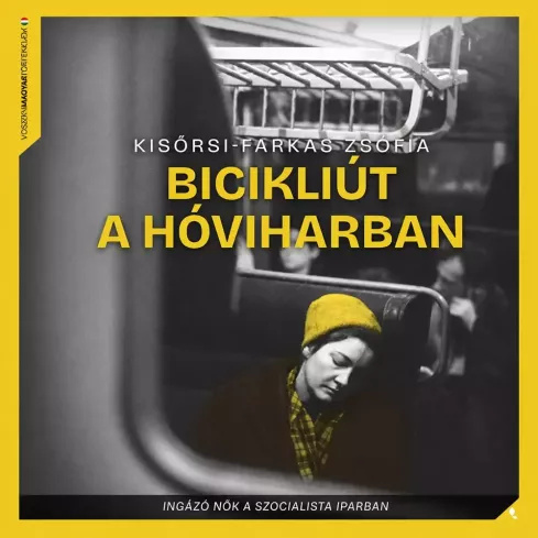 Bicikliút a hóviharban borító