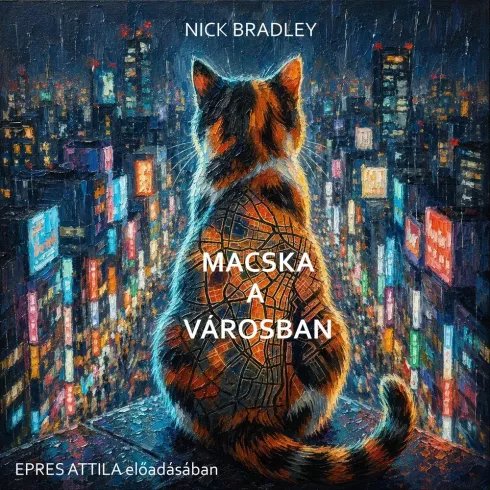 Macska a városban borító
