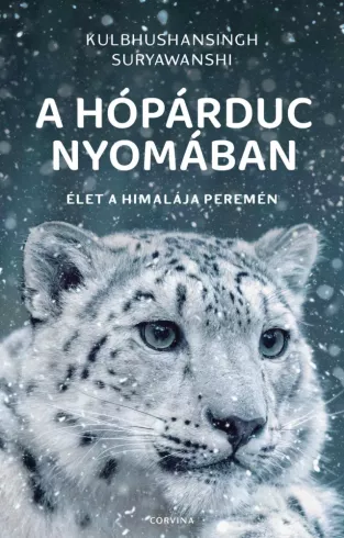 A hópárduc nyomában borító