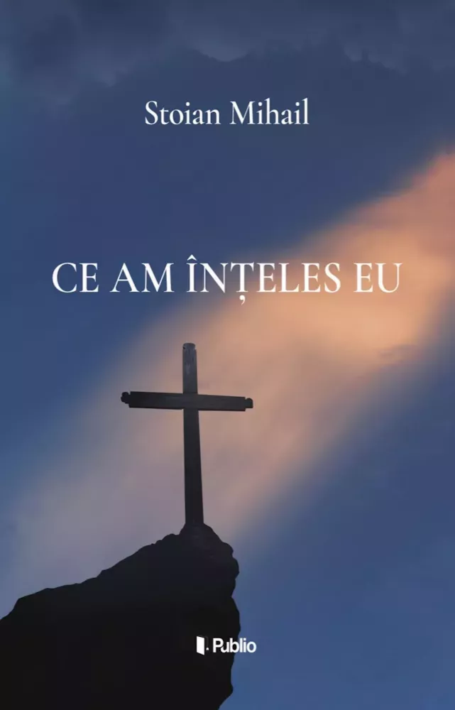 Ce am inteles eu borító
