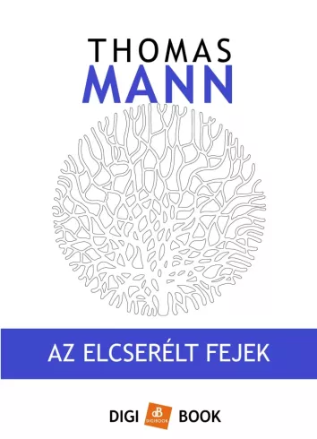 Az elcserélt fejek borító