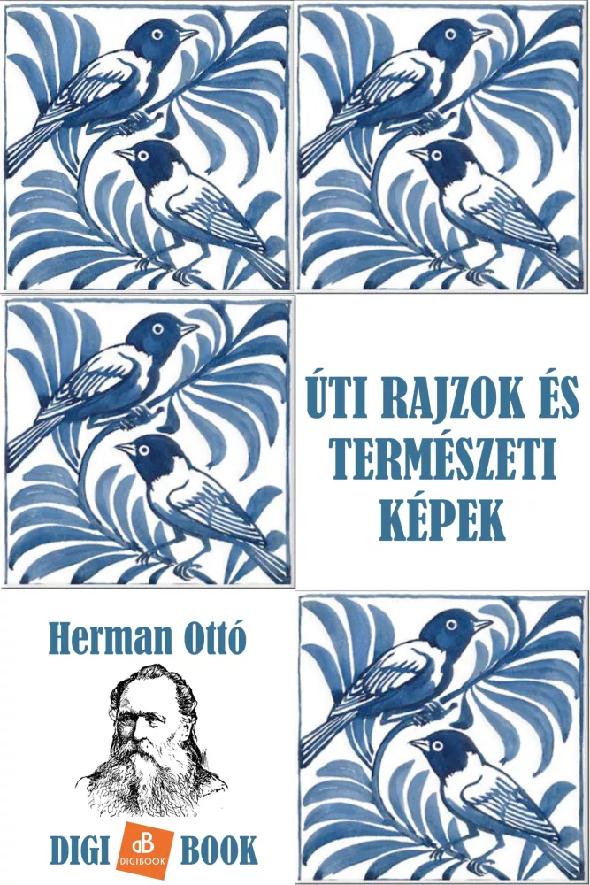 Úti rajzok és természeti képek borító