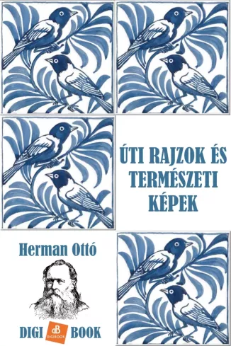 Úti rajzok és természeti képek borító