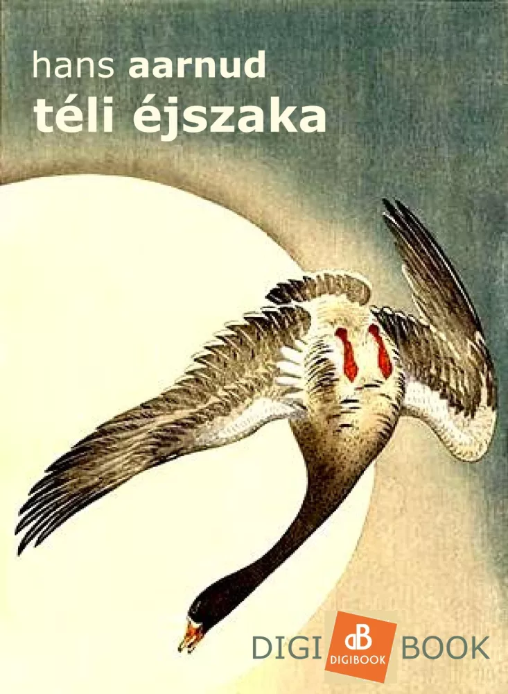 Téli éjszaka borító