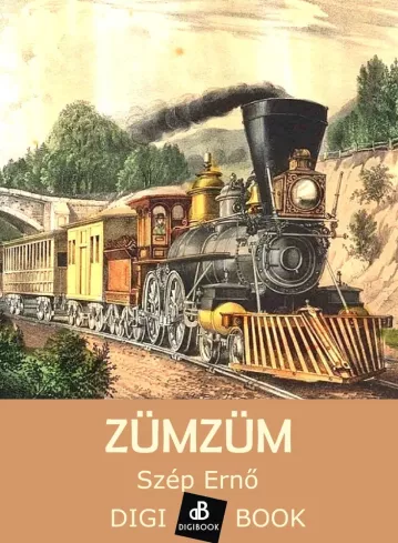 Zümzüm borító