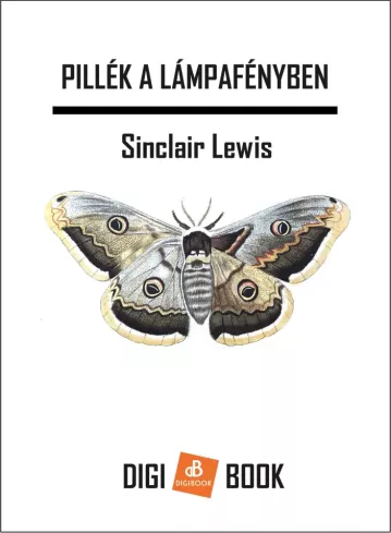 Pillék a lámpafényben borító
