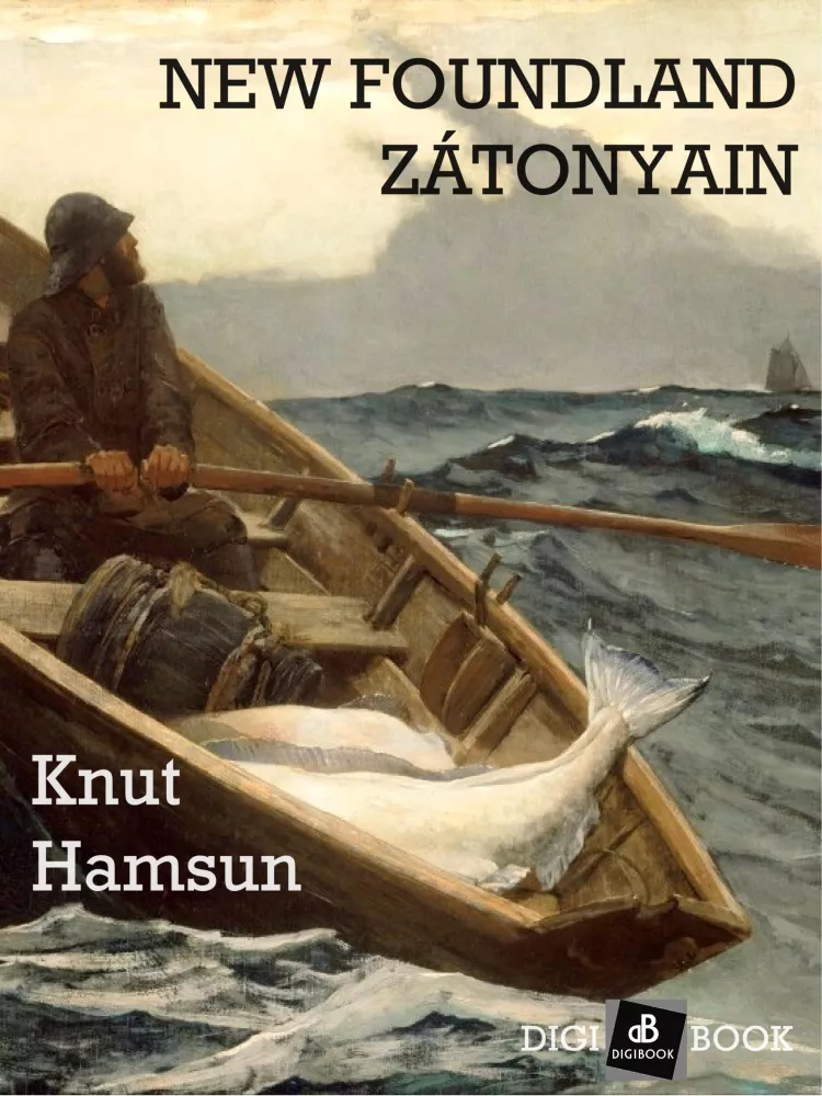 New Foundland zátonyain borító
