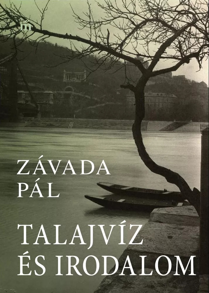Talajvíz és irodalom borító