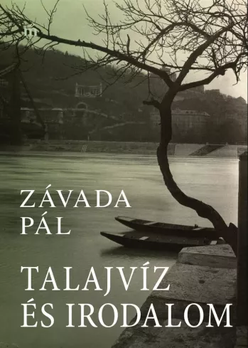 Talajvíz és irodalom borító