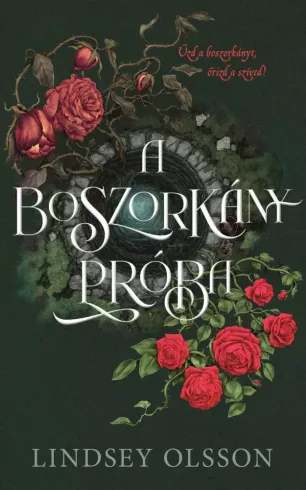 A Boszorkánypróba borító
