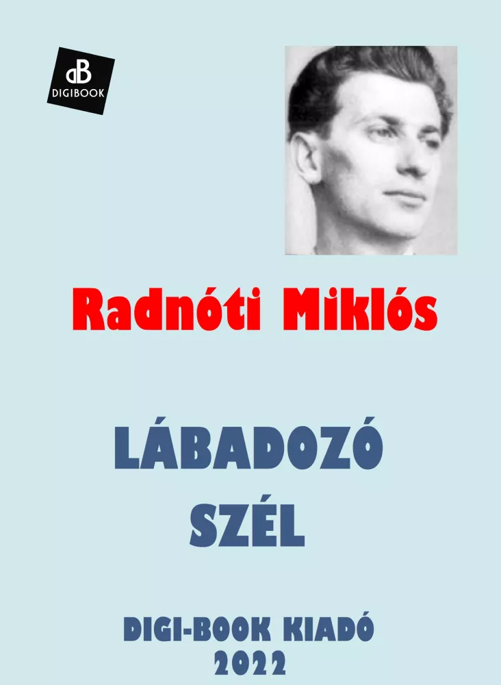 Lábadozó szél borító