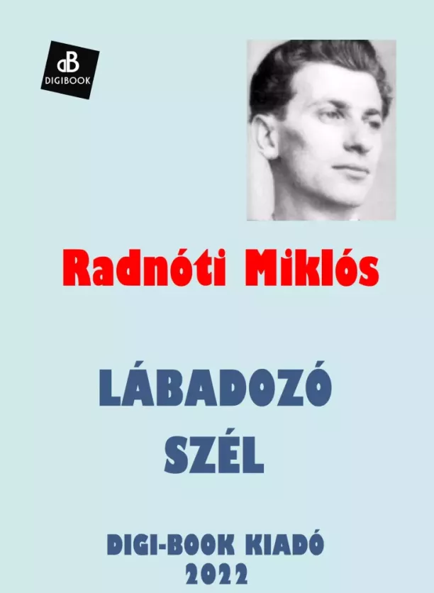 Lábadozó szél borító