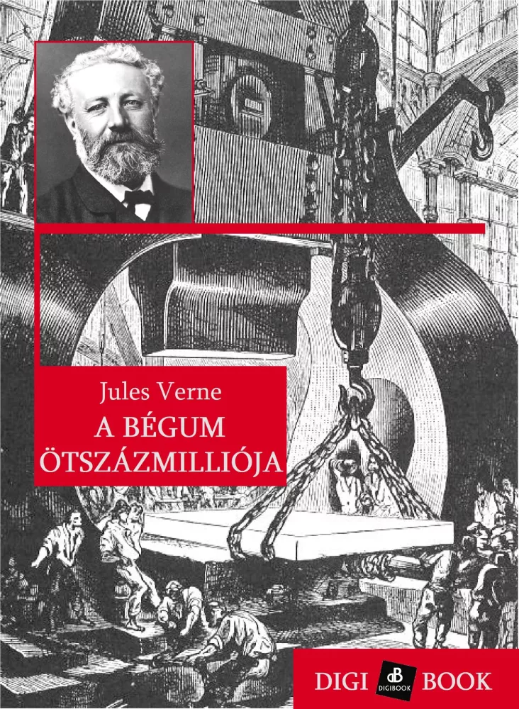 A bégum ötszázmilliója borító