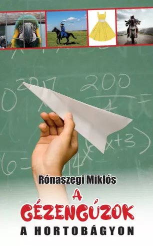 A gézengúzok a Hortobágyon borító