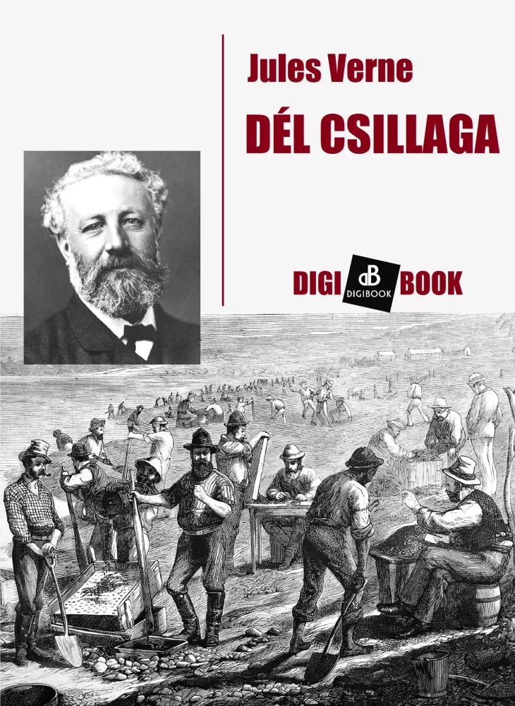 Dél csillaga borító