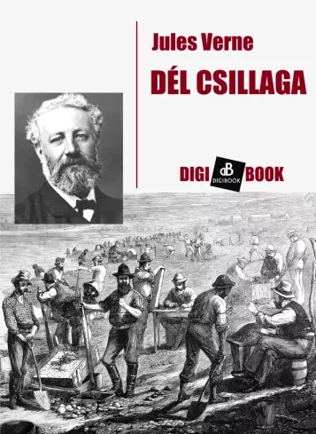 Dél csillaga borító