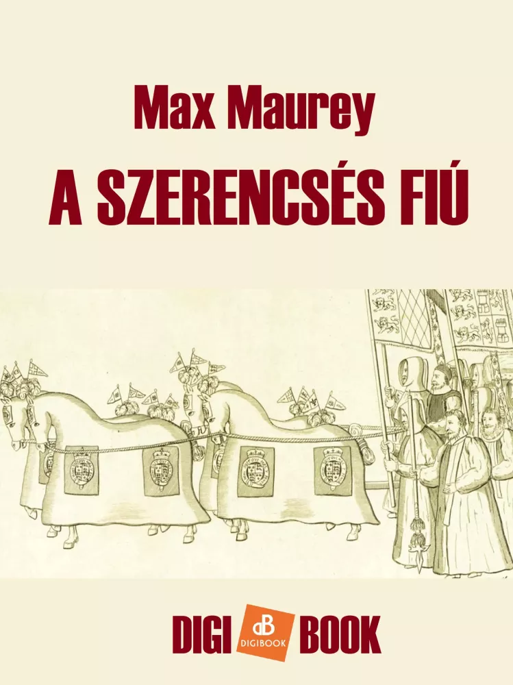 A szerencsés fiú borító