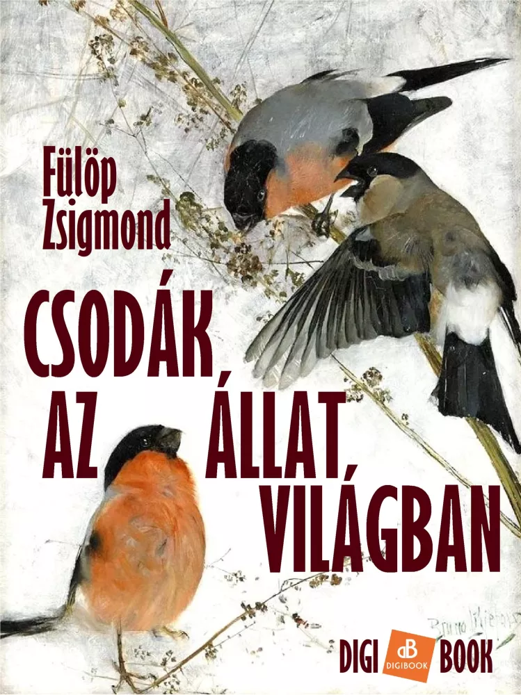 Csodák az állatvilágban borító