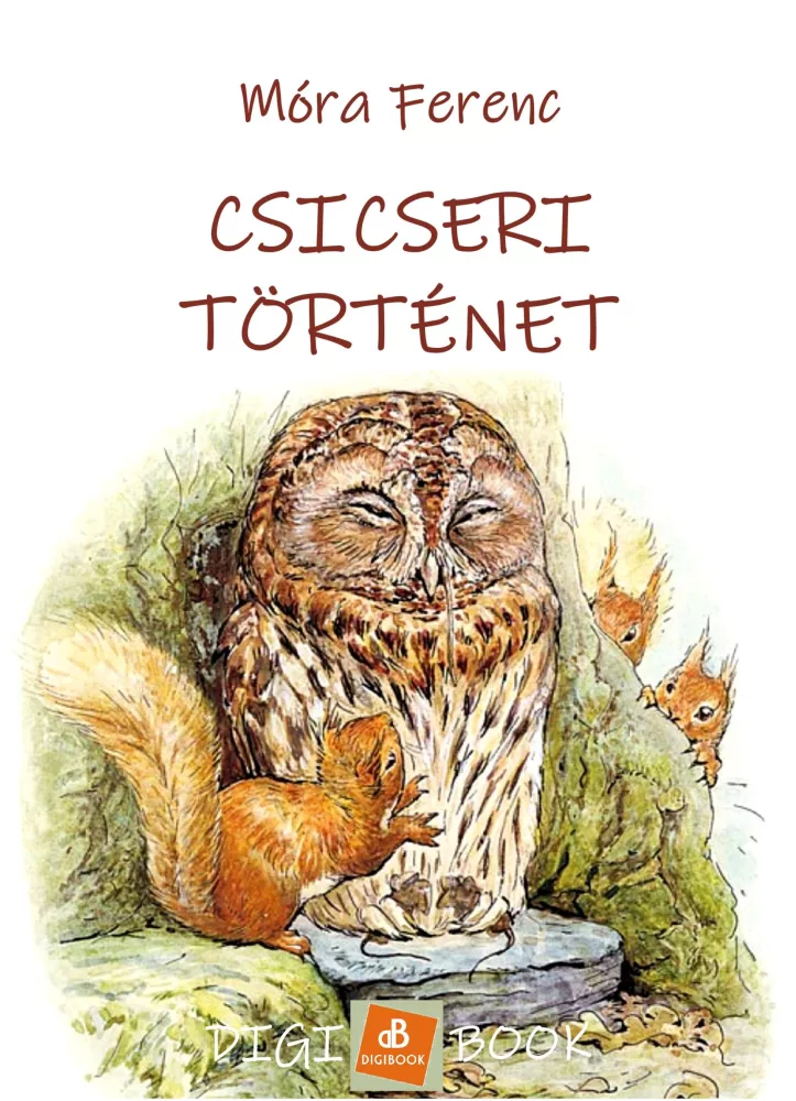 Csicseri történet borító