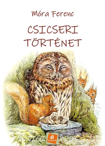 Csicseri történet borító
