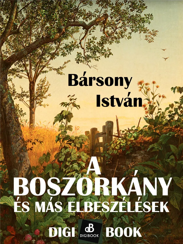 A boszorkány és más elbeszélések borító