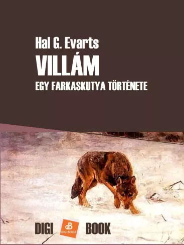 Villám borító